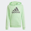 Adidas Kids Big Logo Hoodie Semi Green Spark/Charcoal