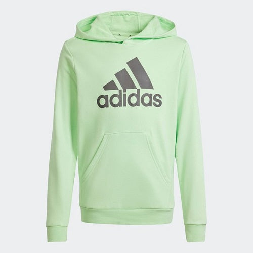 Adidas Kids Big Logo Hoodie Semi Green Spark/Charcoal