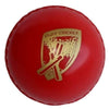 Gray Nicolls Poly Soft Cricket Ball red